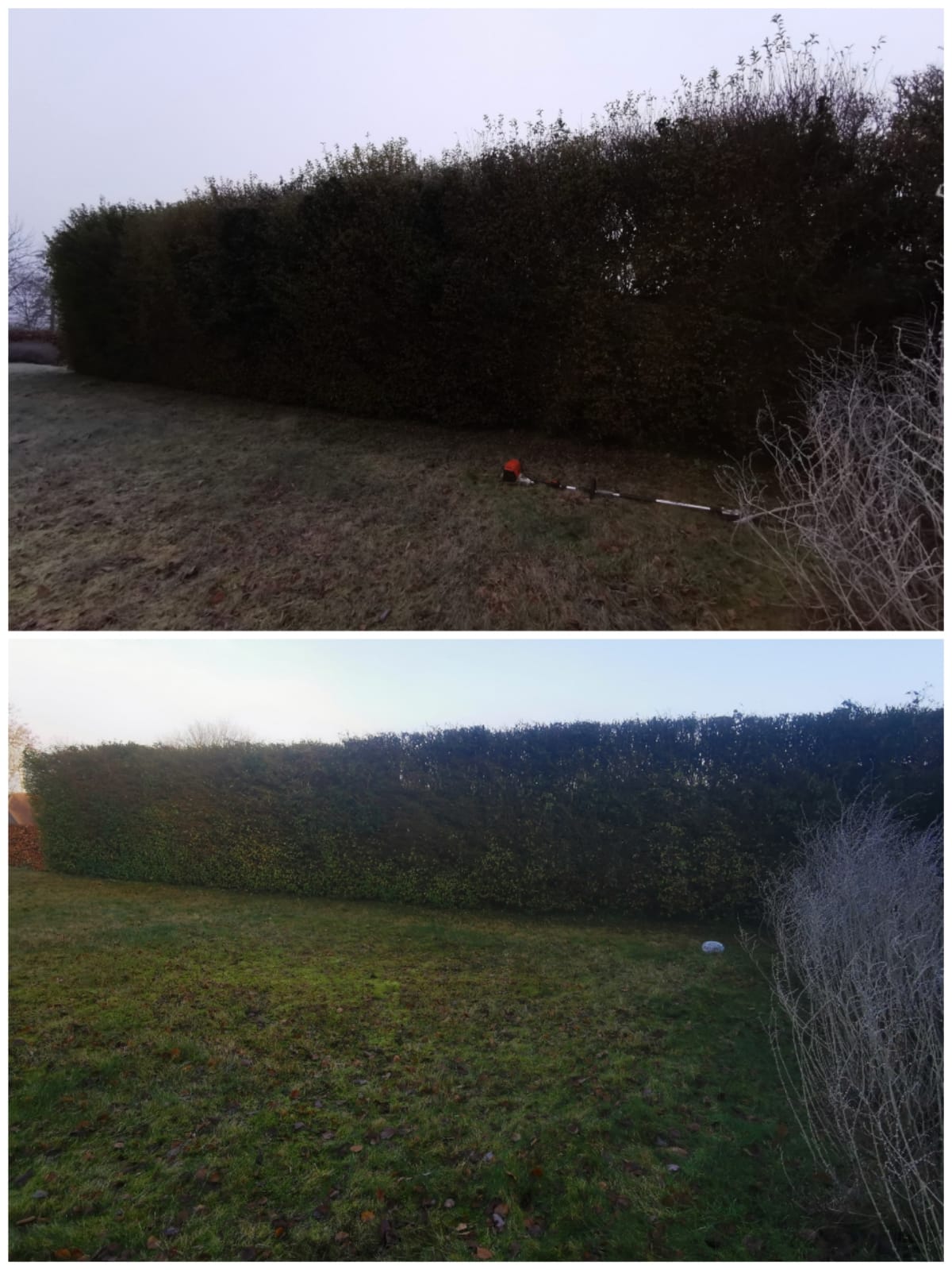 Reduction on the pivet hedge